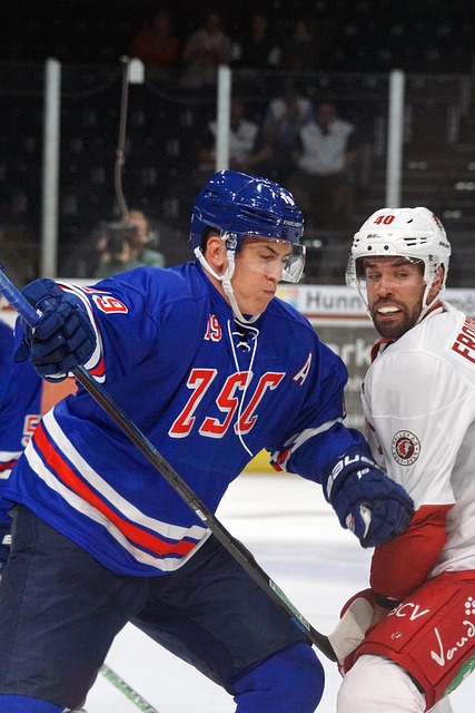 转会市场上 转会市场上